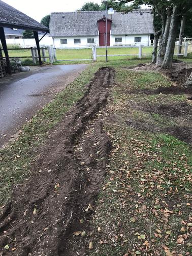 Efter: Rodfræsning af træstub